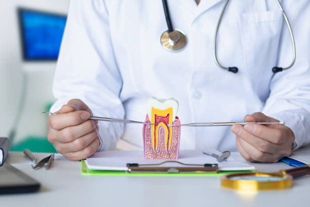 Best Emergency TMJ Treatment in St Ann, MO